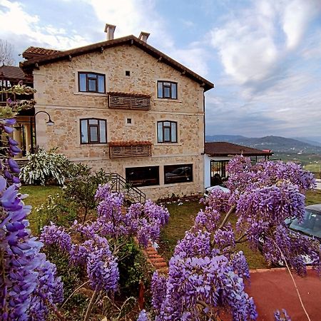 Hayat Oksijen Resort Ordu Zewnętrze zdjęcie