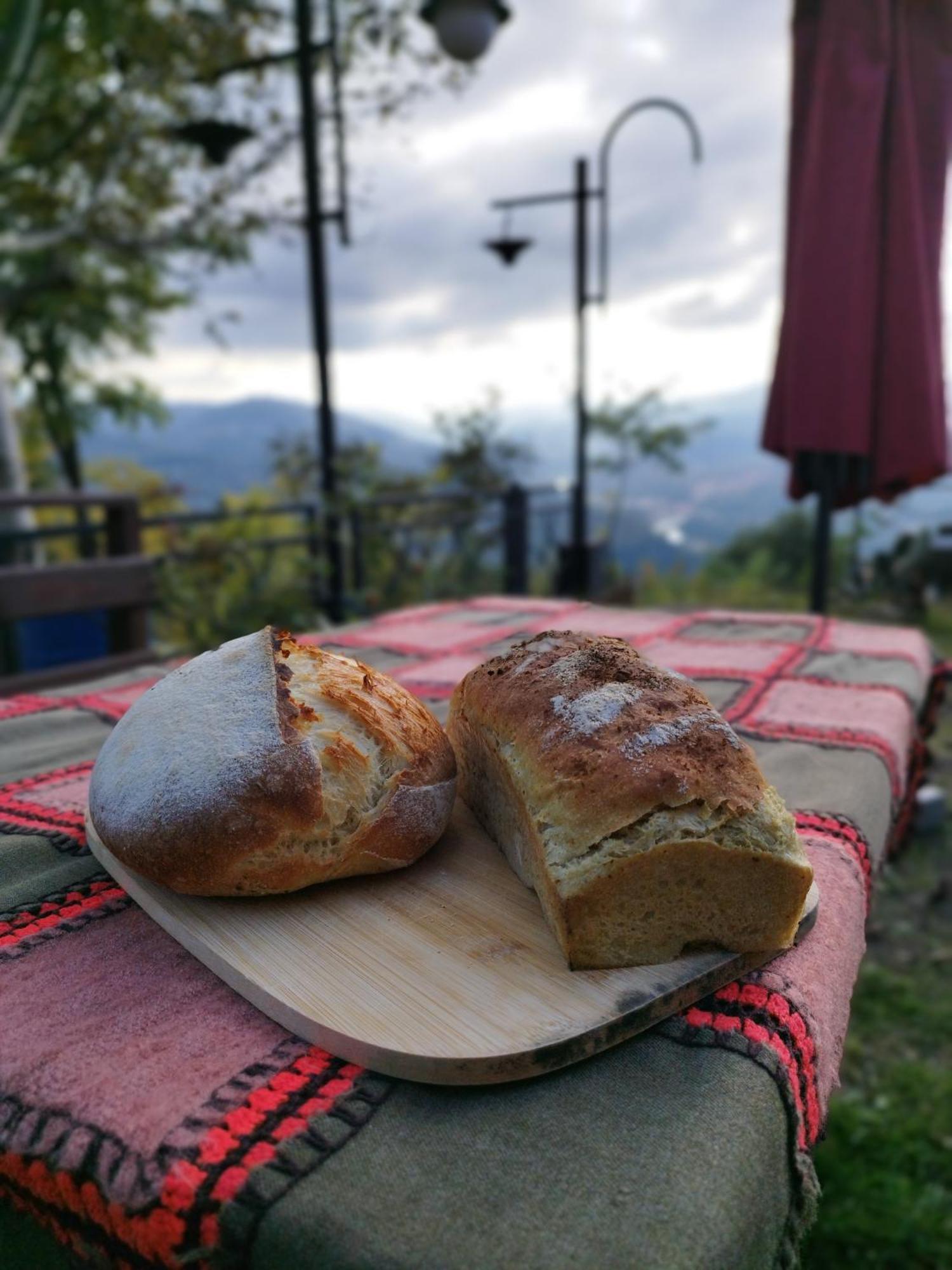 Hayat Oksijen Resort Ordu Zewnętrze zdjęcie